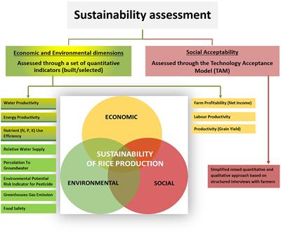 Economic, environmental, and social sustainability of Alternate Wetting and Drying irrigation for rice in northern Italy